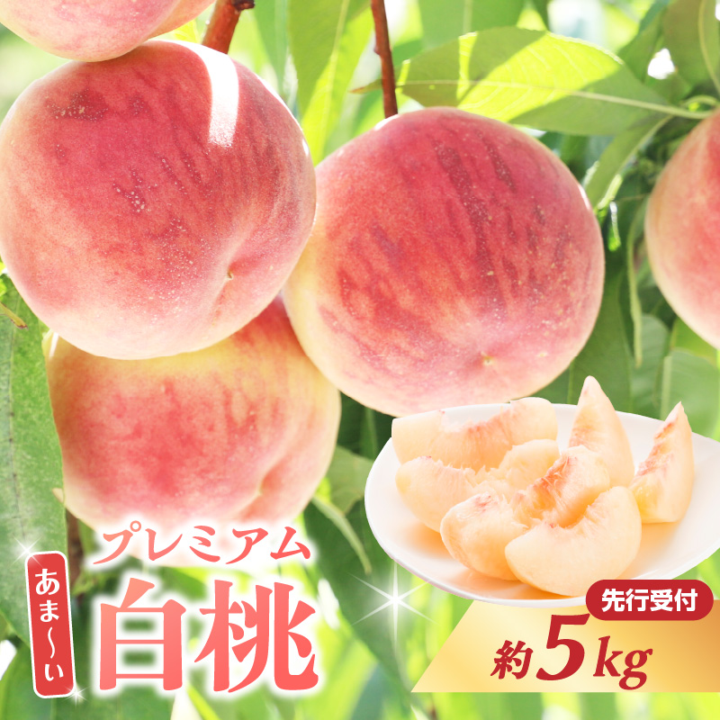 060-015 ≪先行受付≫ 甘～い プレミアム白桃 約5kg【2026年8月中旬頃～発送予定】