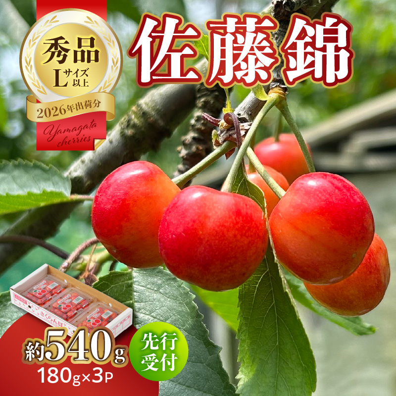 063-012 【2026年度先行受付】★さくらんぼ佐藤錦★約540g 秀品 【6月より順次発送予定】