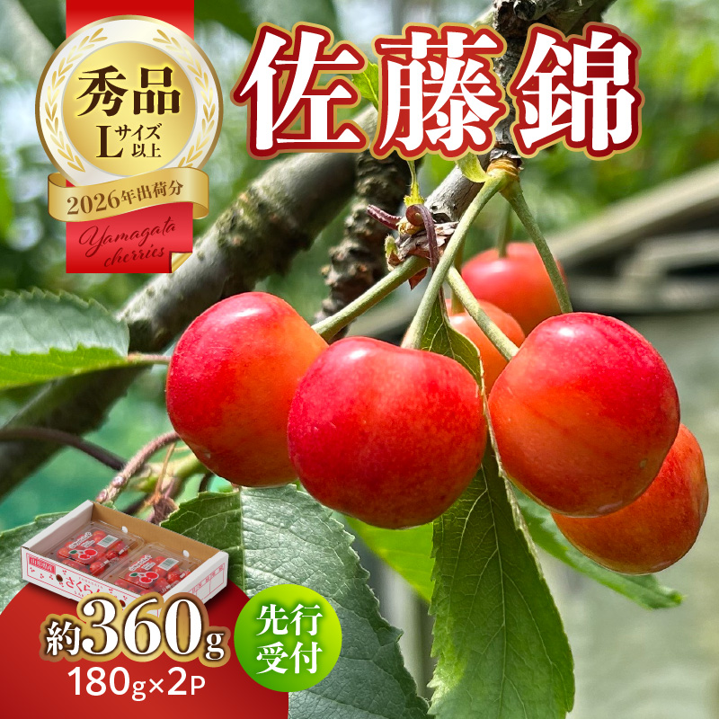 063-013 【2026年度先行受付】★さくらんぼ佐藤錦★約360g 秀品 【6月より順次発送予定】