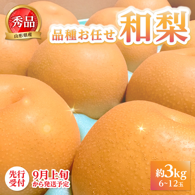 063-015 《先行受付》★山形産和梨（品種お任せ）★約3kg(6～12玉程度)秀品【2026年9月頃～順次発送予定】