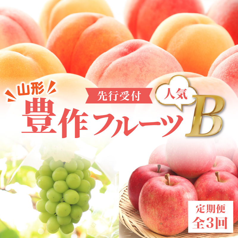 060-T03 ≪先行受付≫ 【2026度年発送】山形豊作フルーツ人気Ｂ【定期便全3回】