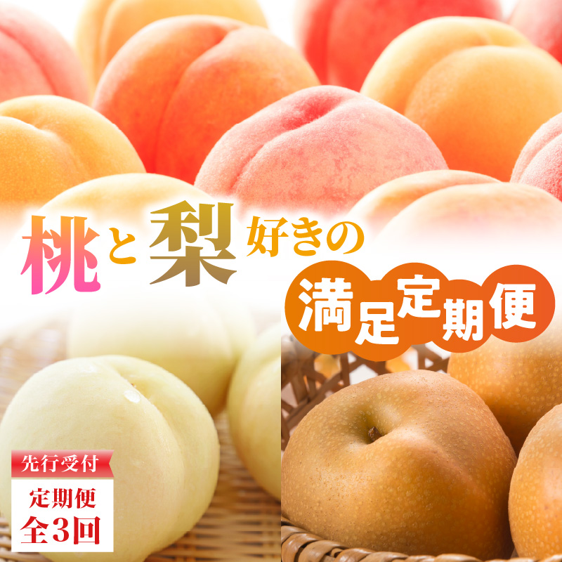 060-T10 【2026度年発送】≪先行受付≫ 桃と梨好きの満足定期便【定期便全3回】