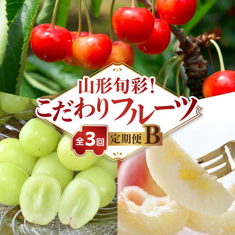 063-T02 【発送月固定】山形旬彩！こだわりフルーツ定期便全３回Ｂ