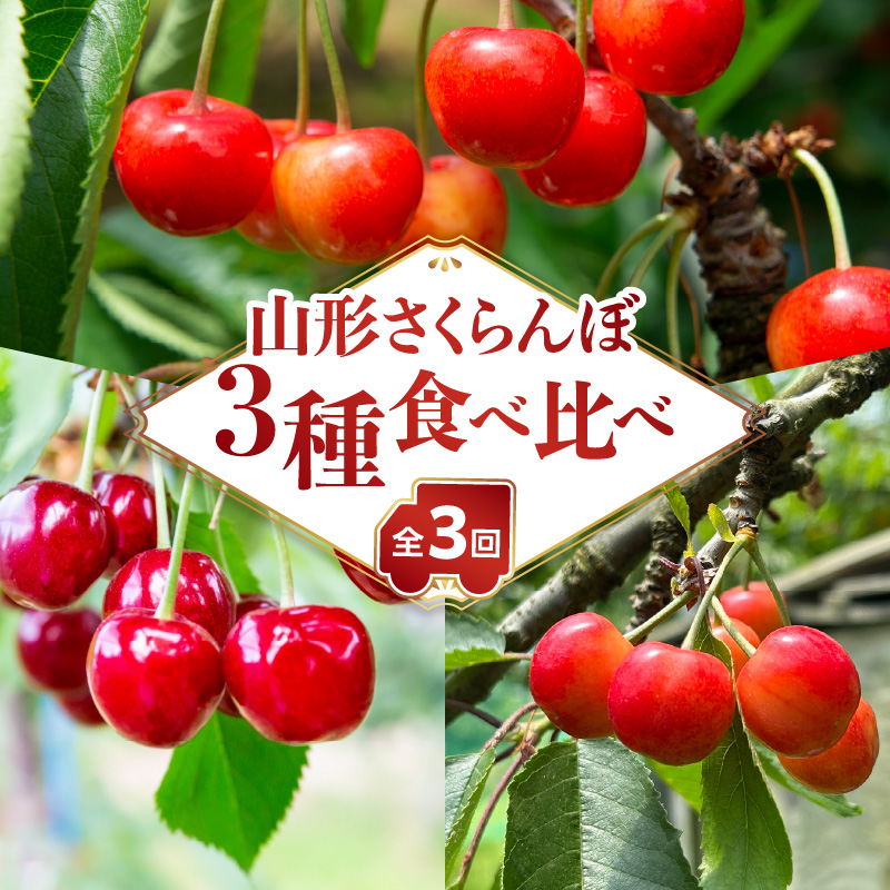 063-T04 山形さくらんぼ ３種食べ比べ定期便【定期便全３回】