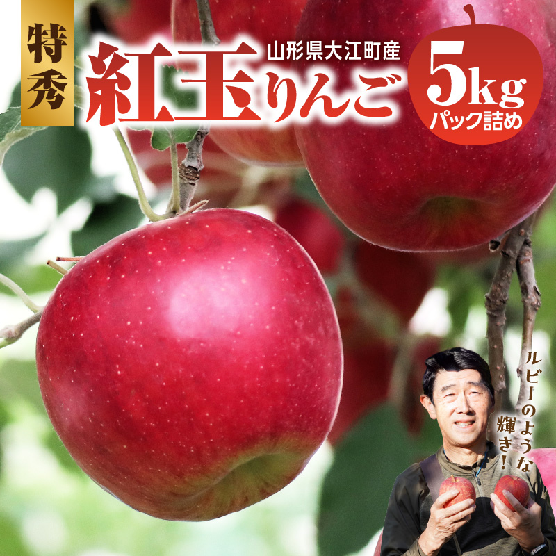 057-003 ≪先行受付≫紅玉りんご5kg 18個～25個 特秀【2026年10月下旬～順次発送予定】