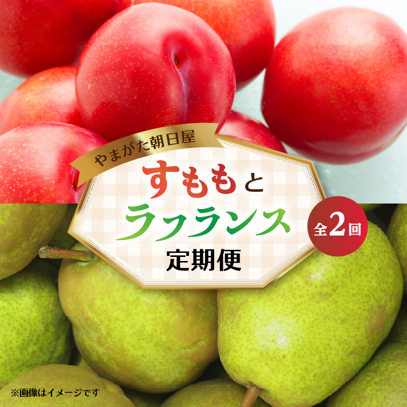 065-T01 やまがた朝日屋 すももとラフランスの定期便【全2回】