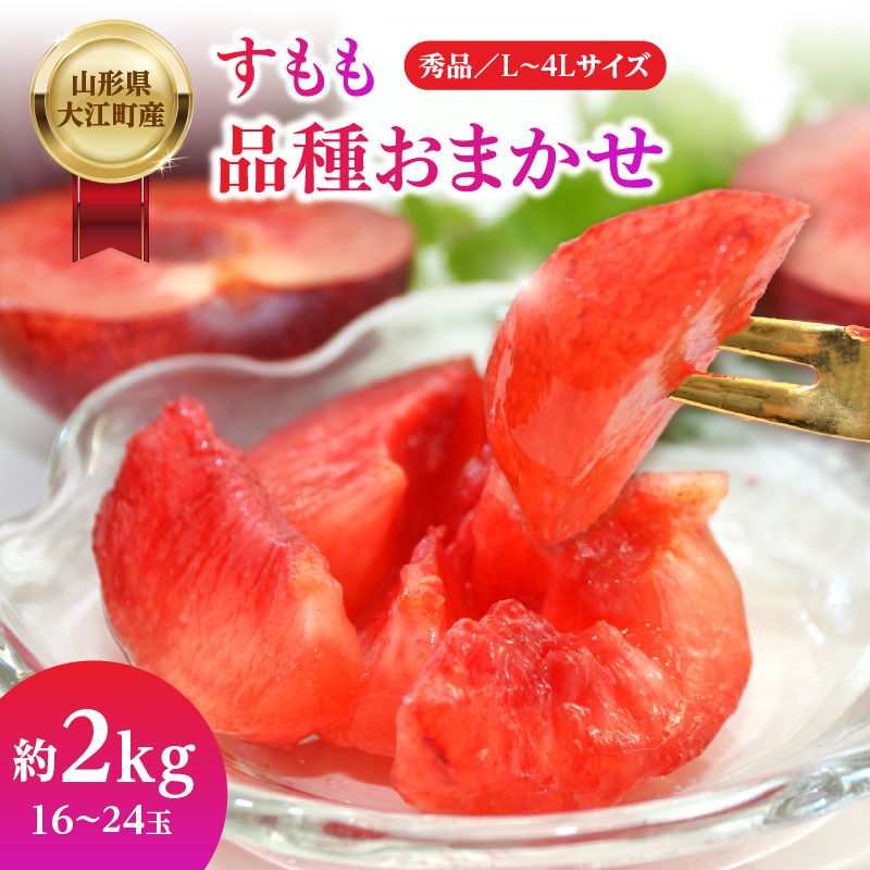 004-012 山形県大江町産 品種おまかせ すもも【2026年8月上旬～順次発送予定】