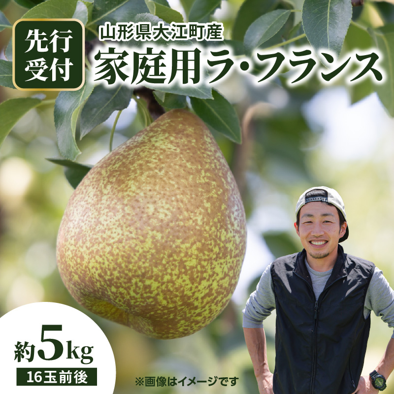067-005 《先行受付》大江町産 家庭用ラフランス 約5kg 16玉前後【2026年11月中旬頃～順次発送予定】