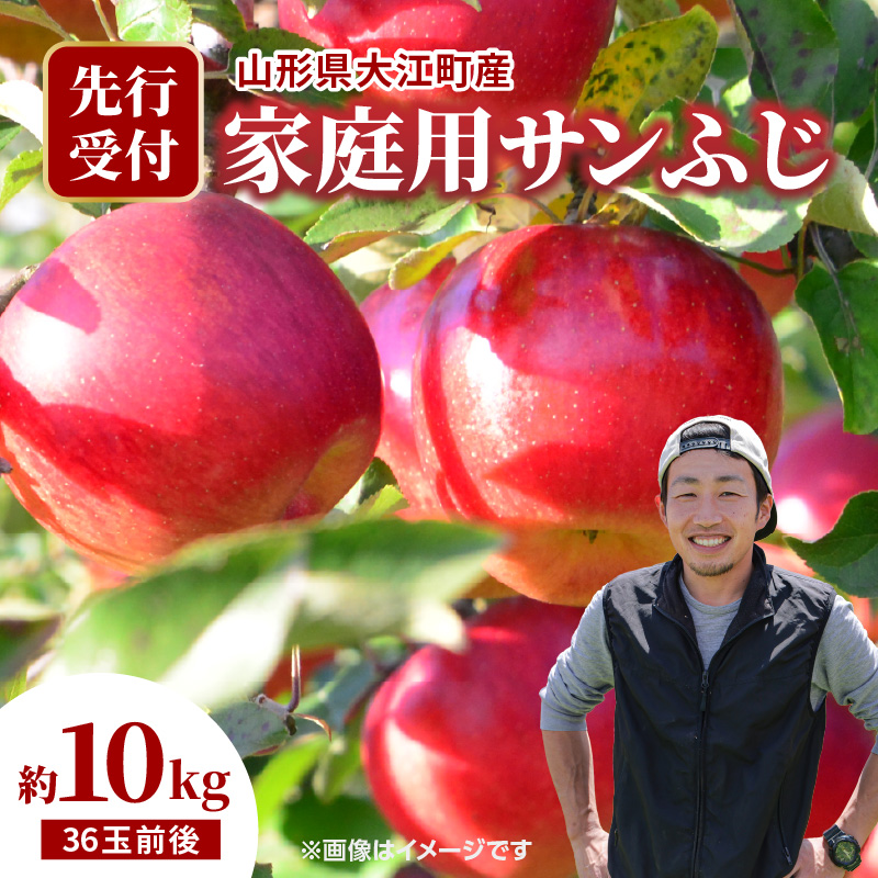 067-001 《先行受付》 大江町産 家庭用サンふじ 約10kg 36玉前後【2026年11月下旬頃～順次発送予定】