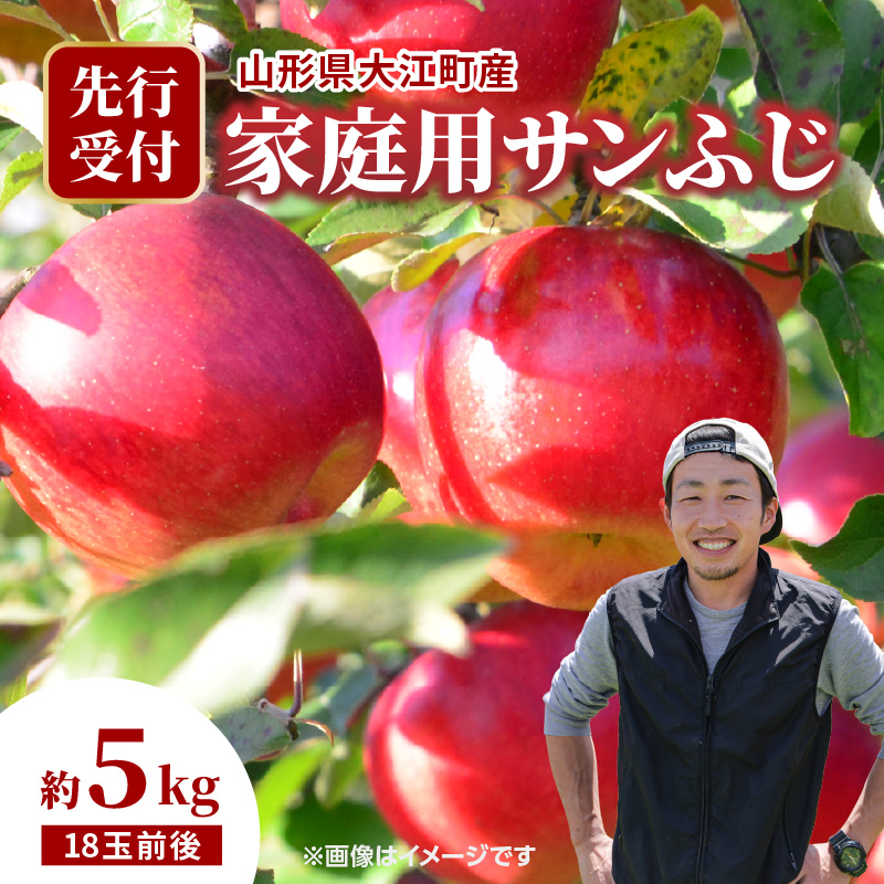 067-002 《先行受付》 大江町産 家庭用サンふじ 約5kg 18玉前後【2026年11月下旬頃～順次発送予定】
