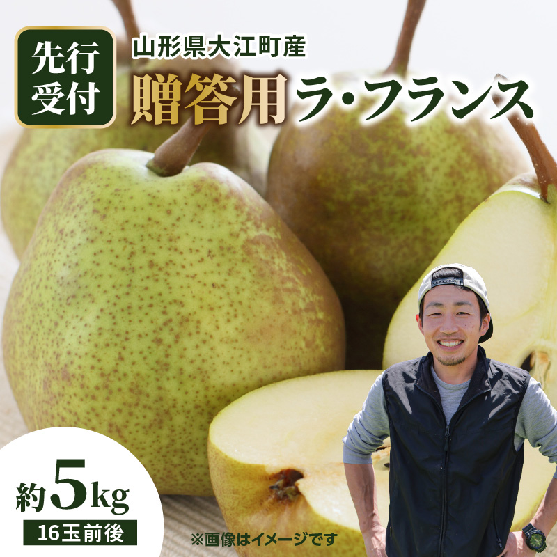 067-006 《先行受付》大江町産 贈答用ラフランス 約5kg 16玉前後【2026年11月中旬頃～順次発送予定】