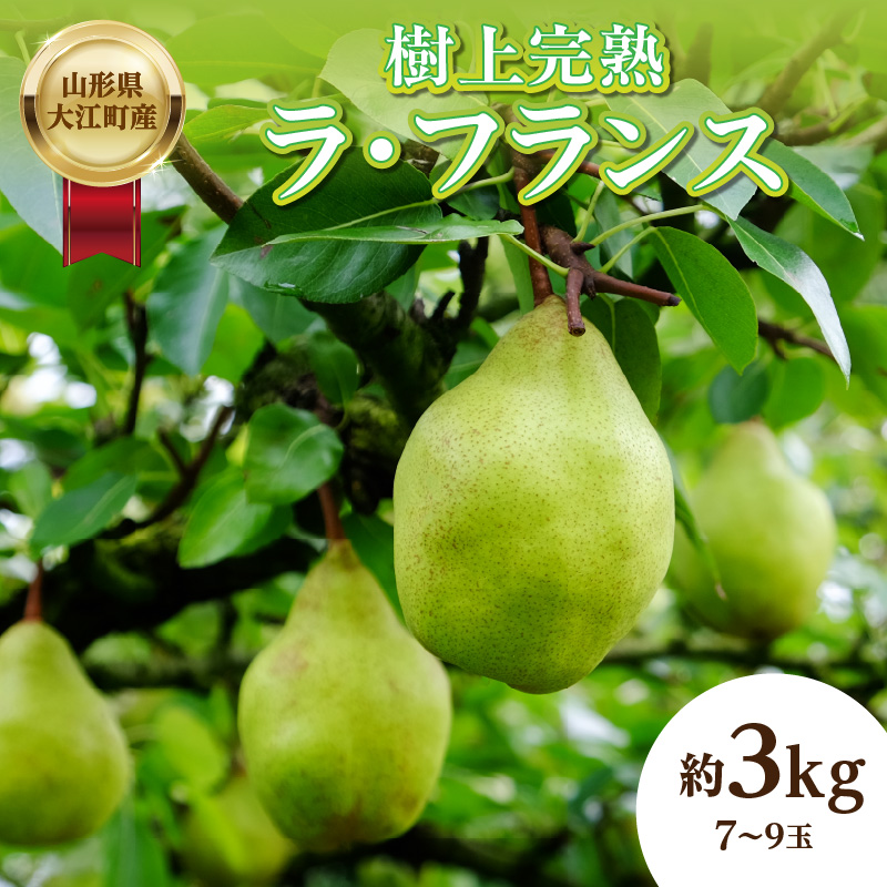 004-014 《先行受付》山形県大江町産「樹上完熟 ラフランス」約3kg 特秀 3L～4L 7玉～9玉【2026年11月中旬頃～順次発送予定】