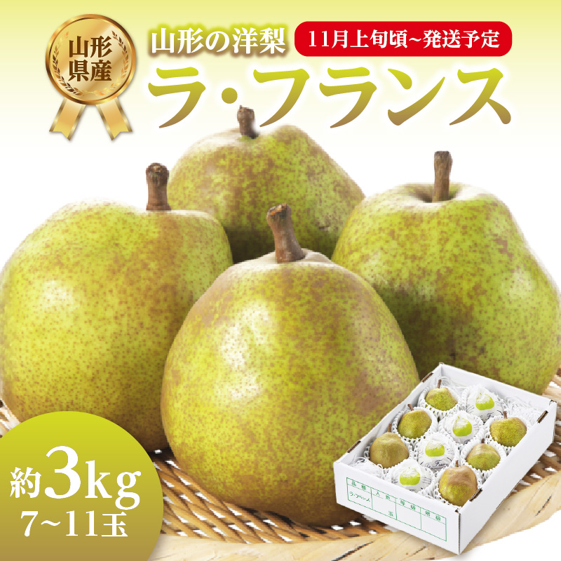 001-081 《先行受付》ラフランス 約3kg （7～11玉） 【2026年11月上旬頃～発送予定】【山形洋梨】