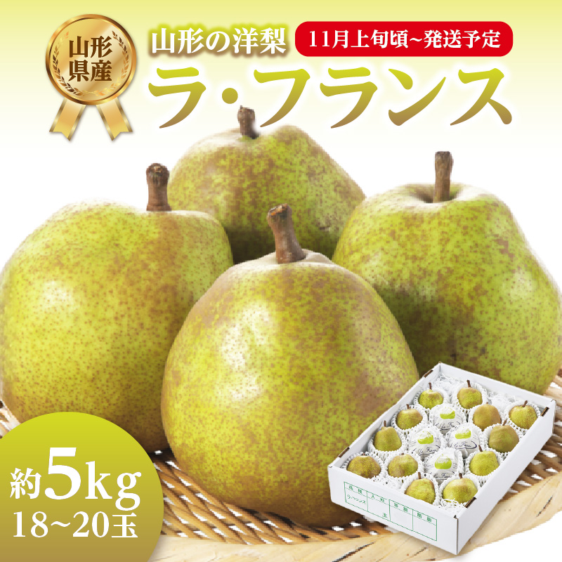 001-082 《先行受付》ラフランス 約5kg（18～20玉） 【2026年11月上旬頃～発送予定】【山形洋梨】