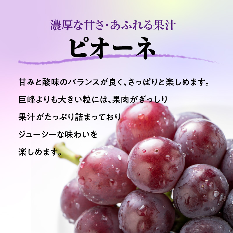 特産品写真1