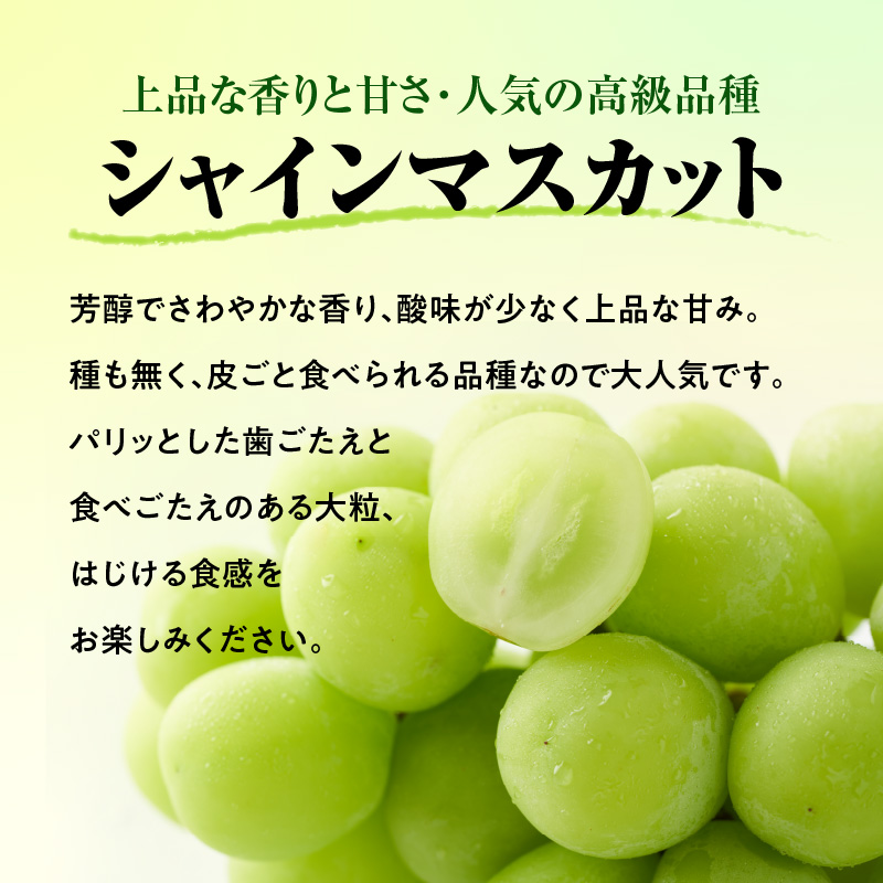 特産品写真1