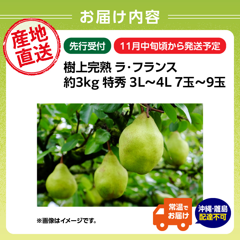 特産品写真1