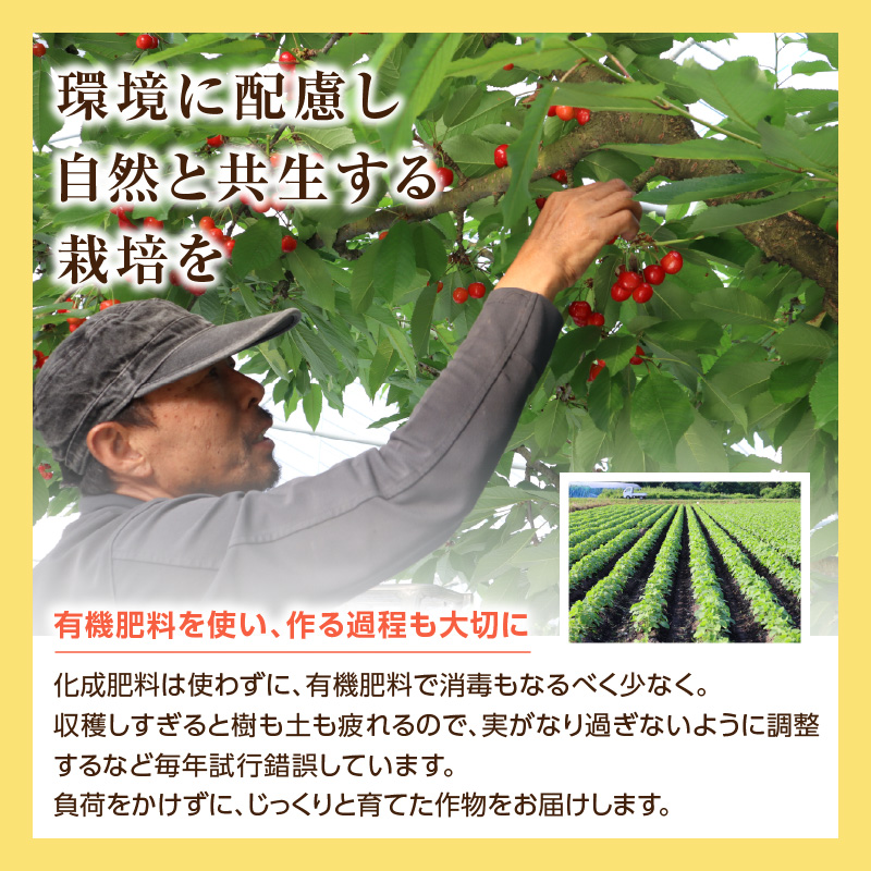 特産品写真2